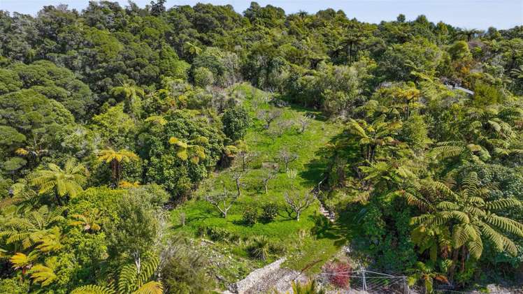 Lot 1/90 Matata Road Parapara_22