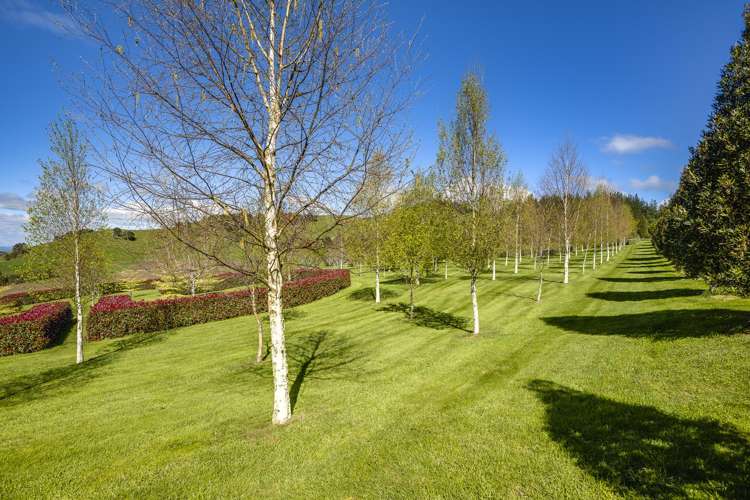 135 Willowford Road Waiwhare_22