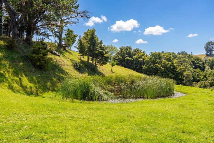 47 Witheford Road Wellsford_7