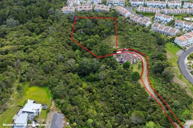 31 Living Stream Road Albany Heights_2