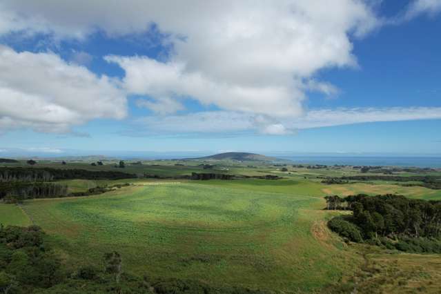 300 Waterhouse Road Orepuki_4