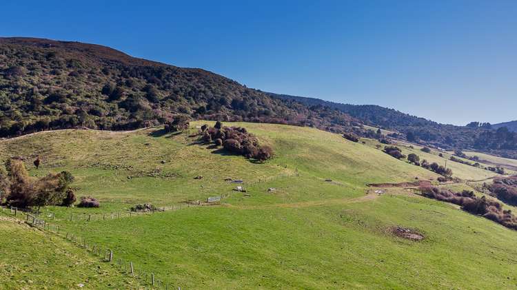 233 Leith Valley Road Leith Valley_13