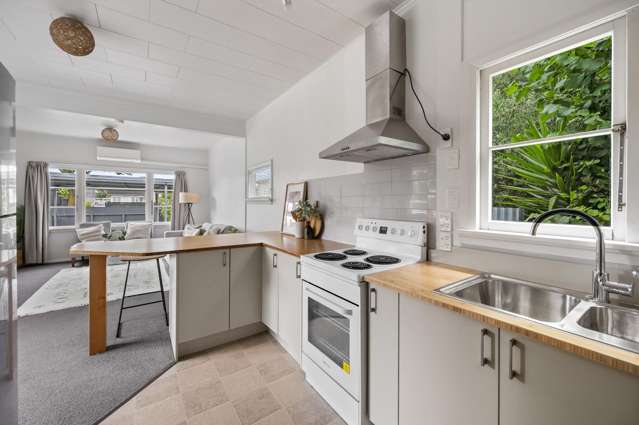 Parkvale Delight - What a buy!