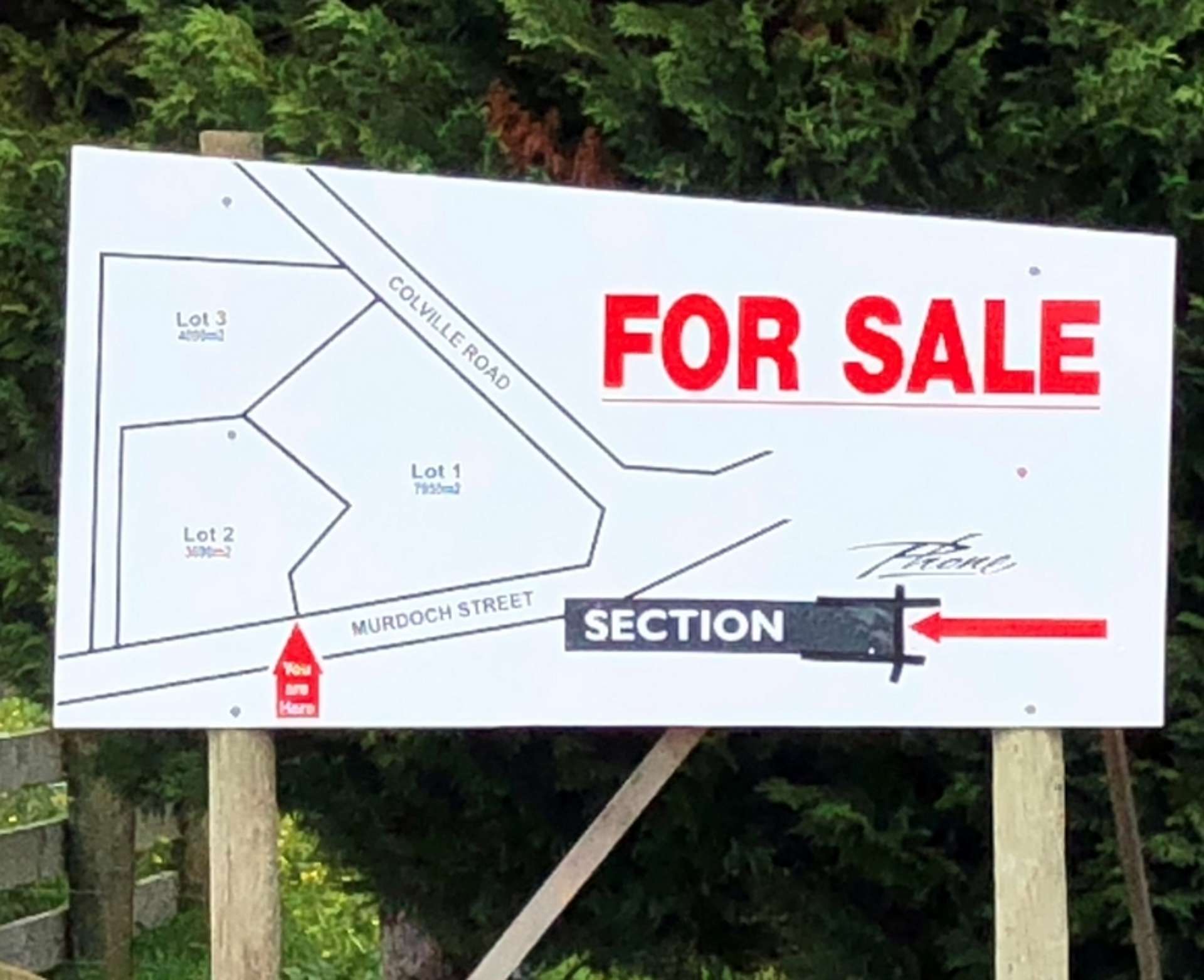 Colville Road Dargaville_0