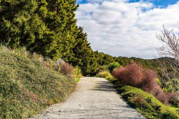 476 Cames Road Mangawhai_31