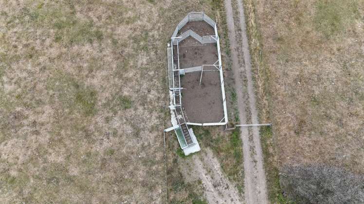 265 Paranui Road Foxton_13