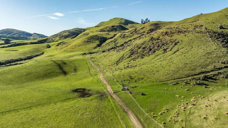 324 Reeces Road Omihi_5