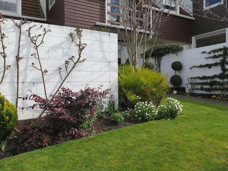 3/2 Cross Street Marchwiel_19