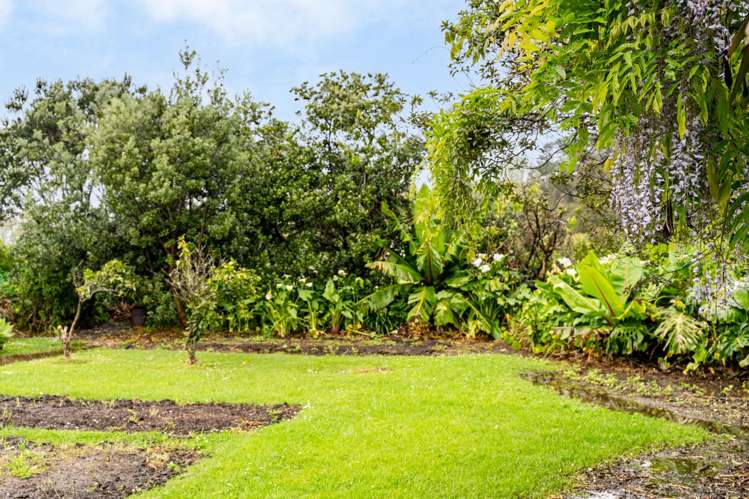 26 Bassett Street Dargaville_25