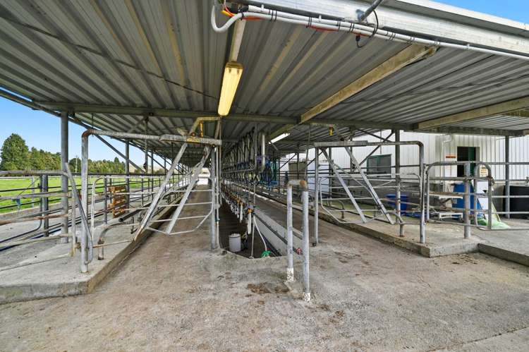 365 Halcrow Road Reporoa_7