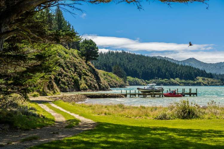 528 Oyster Bay Marlborough Sounds_44