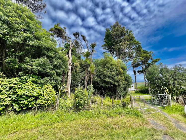 724a Ruapuke Road Raglan_52