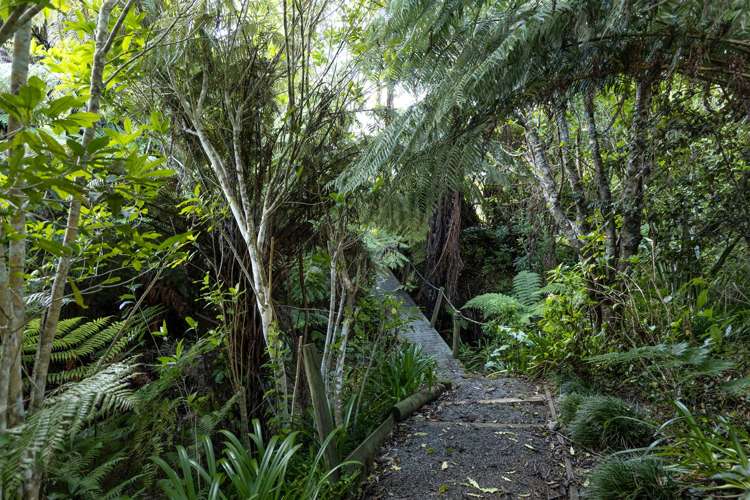 1/659 Queen Charlotte Drive Havelock_8