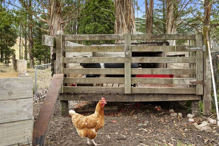 572 Riwaka Valley Road Motueka_15