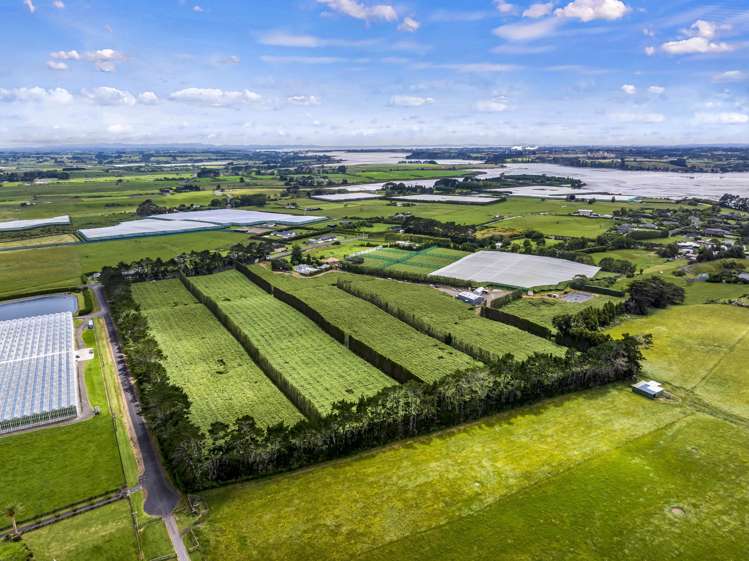 37 and 41 Taurangaruru Road Waiuku_12