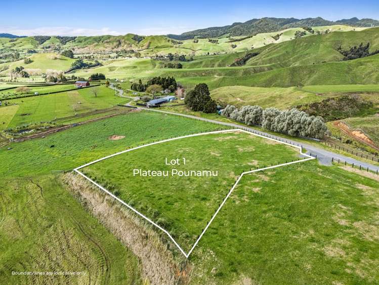 928 Kairangi Road Rotoorangi_7