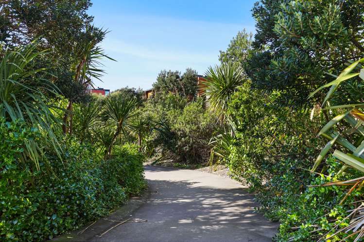 6 Mayfly Lane Hobsonville_23