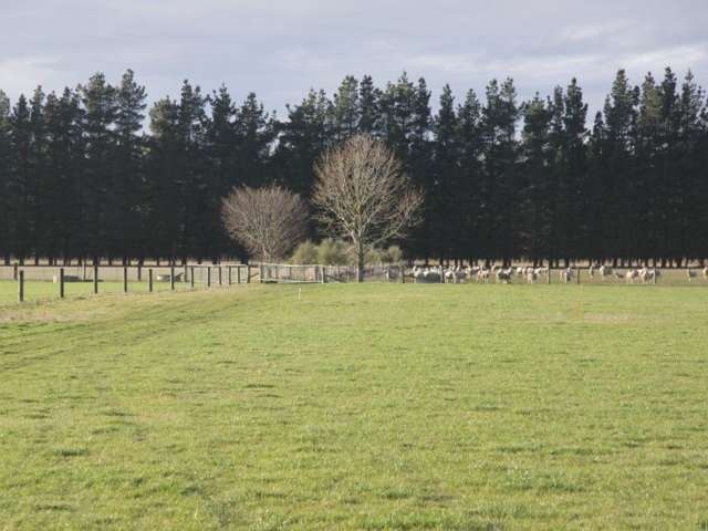 1821 North Eyre Road West Eyreton_2