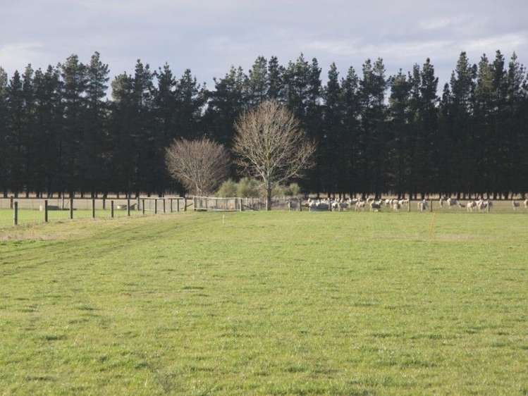 1821 North Eyre Road West Eyreton_2