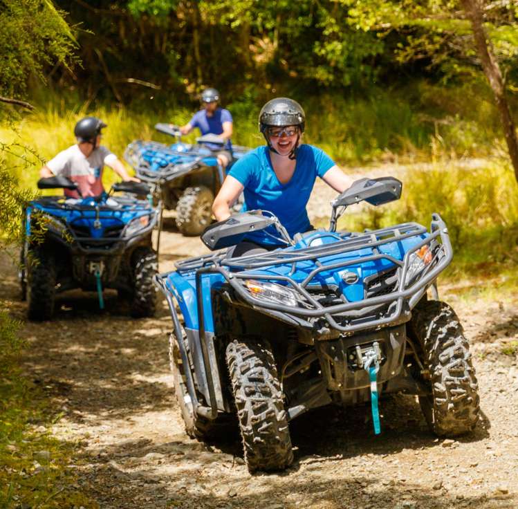 194 Cable Bay Road Hira_6