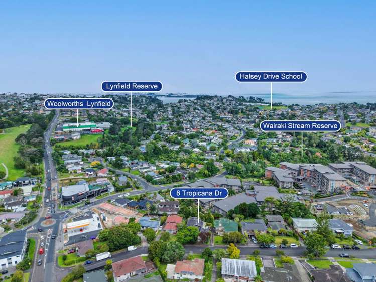 8 Tropicana Drive Mt Roskill_17