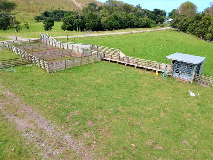 414 Te Apiti Road Elsthorpe_16