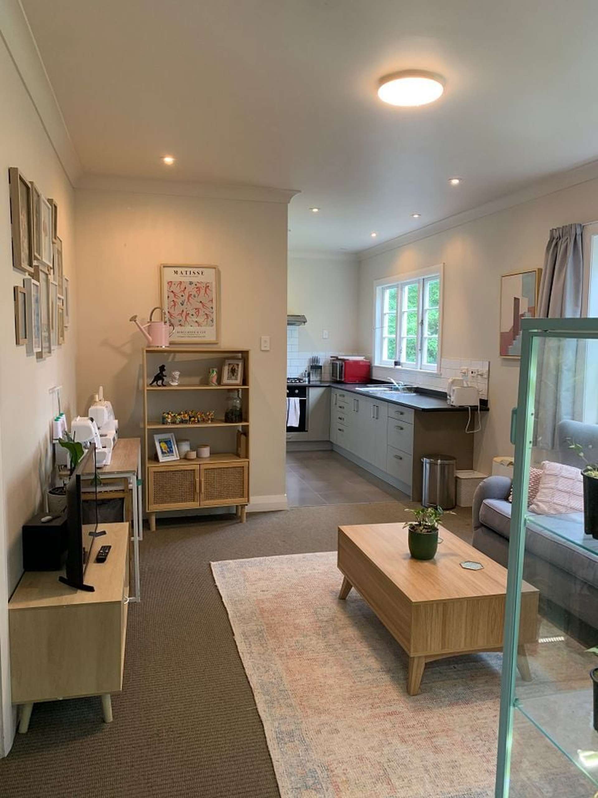 6A Semeloff Terrace Aro Valley_0