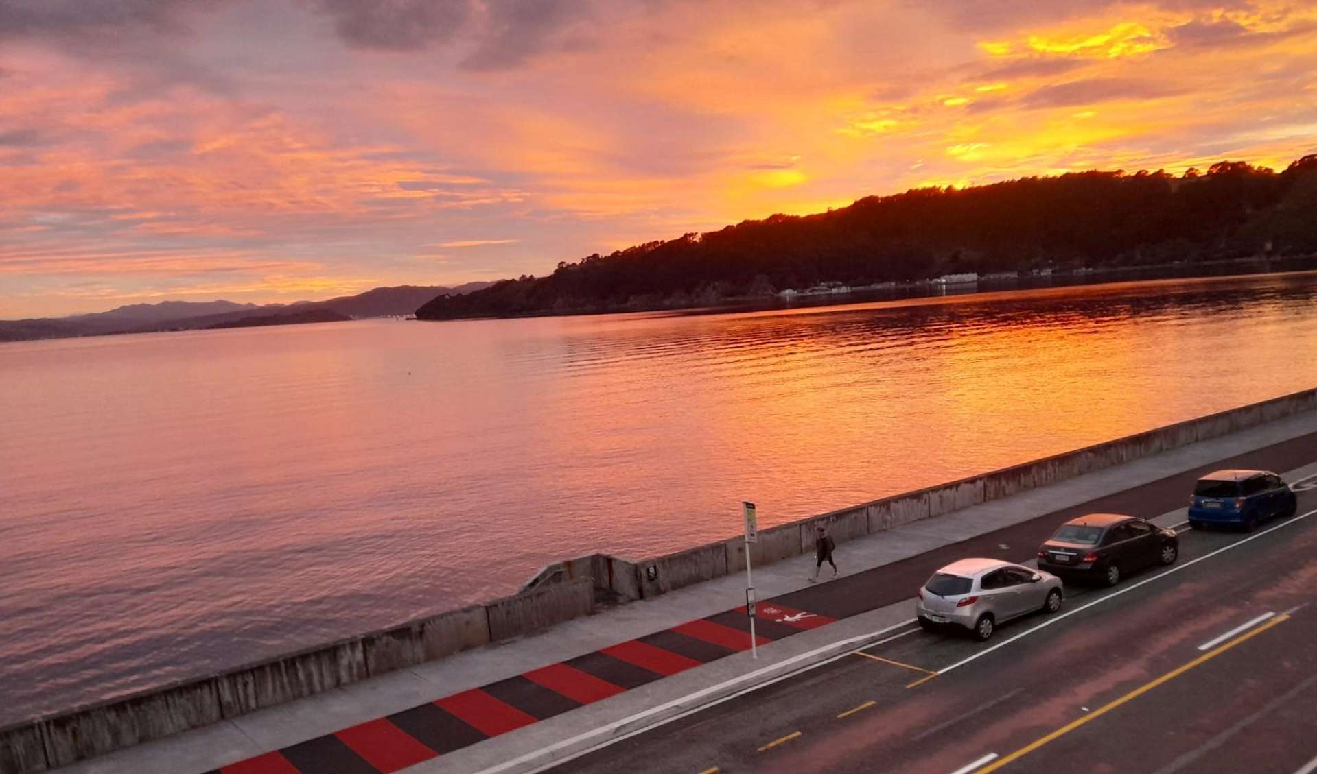 4/148 Evans Bay Parade Roseneath_0