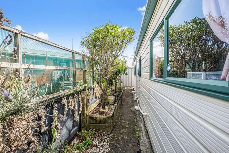 47 Virtue Crescent Karikari Peninsula_23