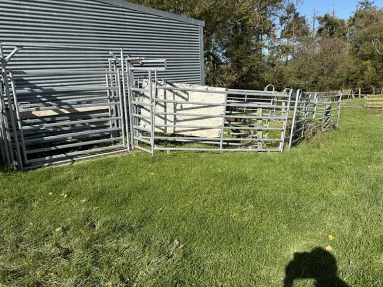 235 Te Ore Ore-Bideford Road Masterton_9