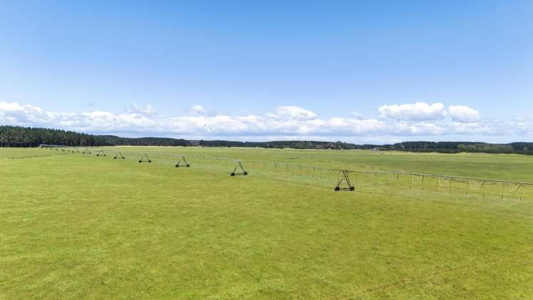 715 Santoft Road Bulls_18