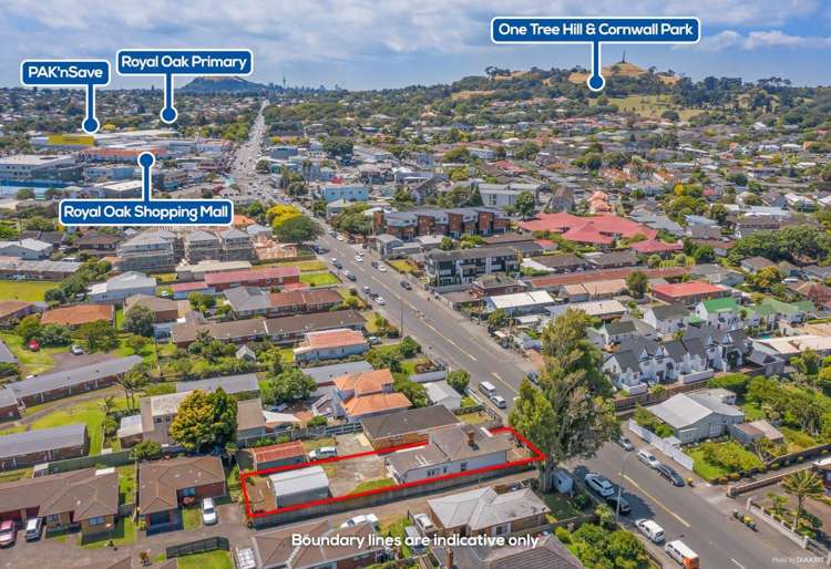 859 Manukau Road Royal Oak_10