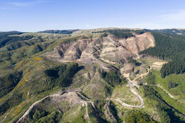 68-69 Creek Flat Lane Aokautere_3