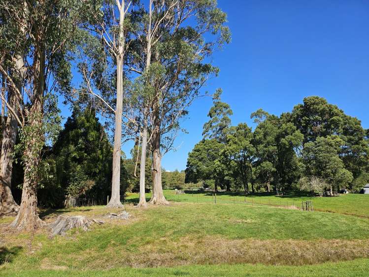 27D Gold Nugget Road_5