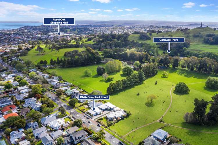 134a Campbell Road One Tree Hill_19