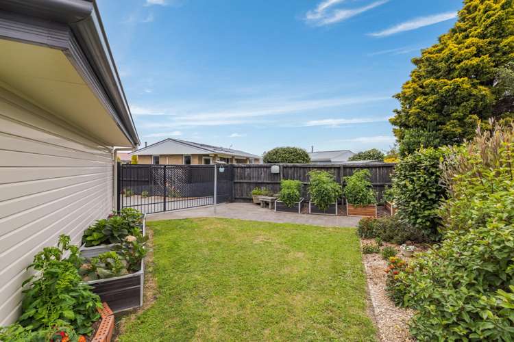 10 Cowper Place Avondale_25