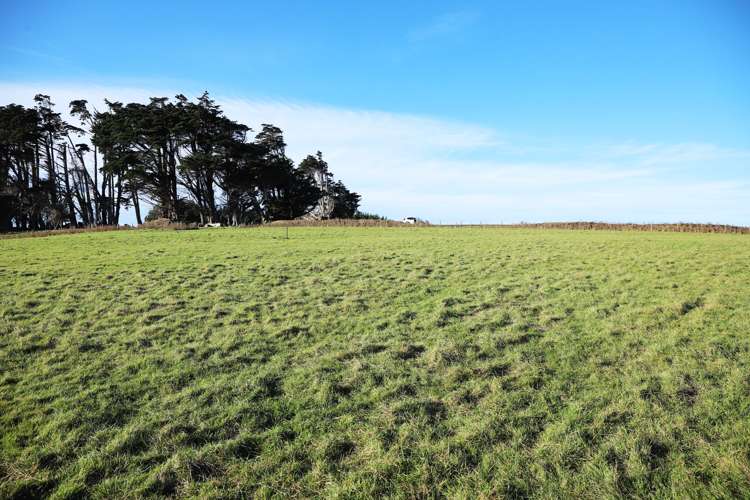 23 Fortrose Otara Road Wyndham Surrounds_6