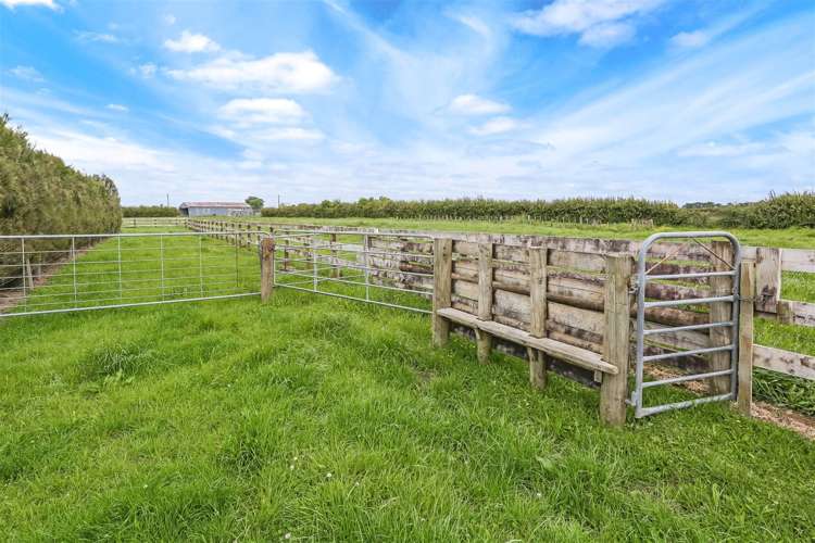 392 Ngarua Road Waitoa_7