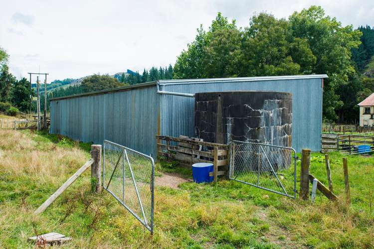 322 Bruce Road Whatatutu_12