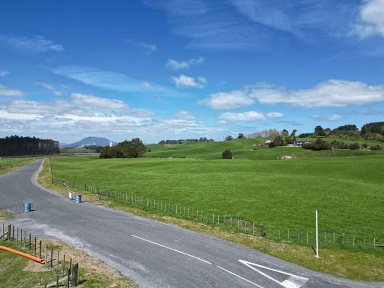 140 '7 Lots' Tuhingamata Road Oruanui_4