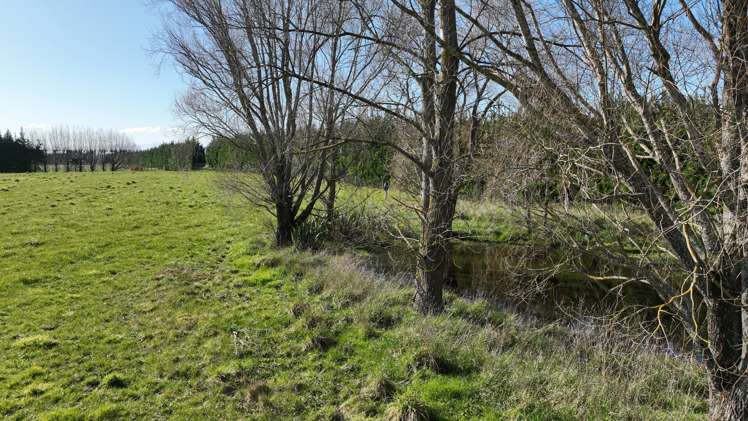 132 Kennedys Hill Road Fernside_11