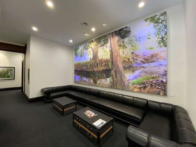 1 Faraday Street Parnell_2