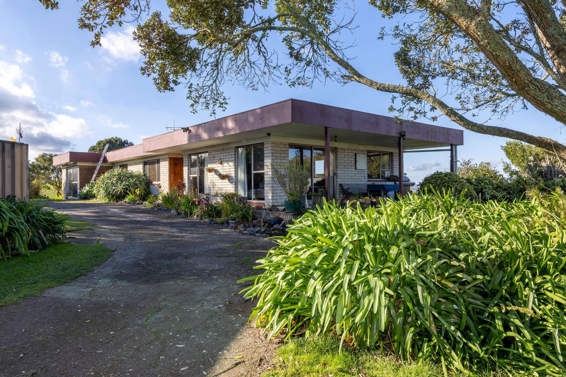 252 Whangamarino Road Te Kauwhata_0