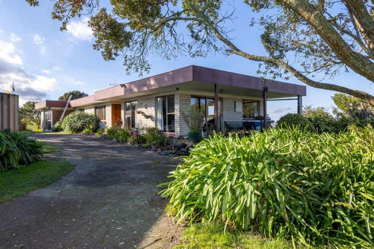 252 Whangamarino Road_0