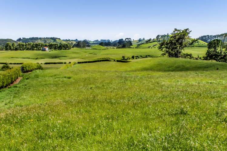 Upland Road Egmont Village_2