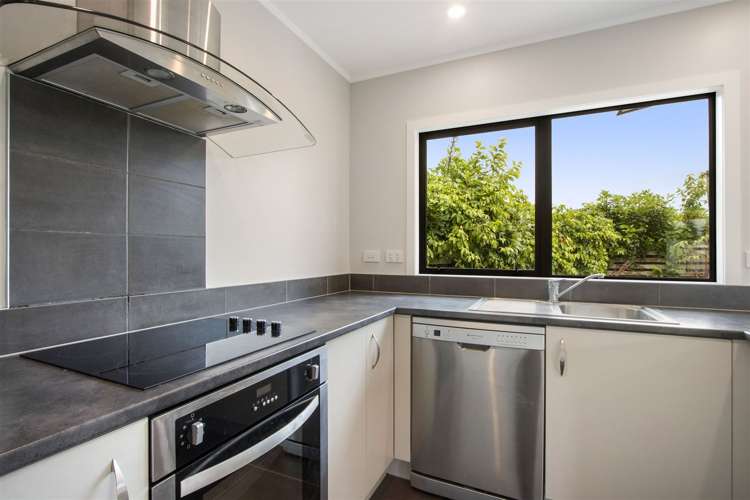 12a Boyd Street Katikati_5