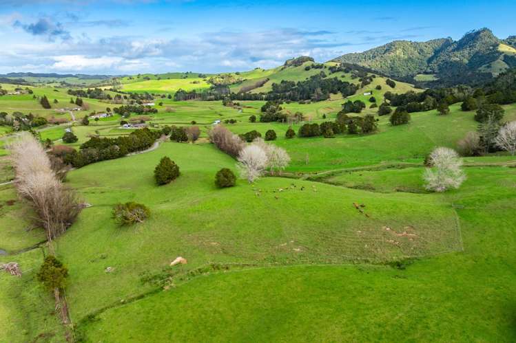 Lots 2 and 5 Leslie Road Maungakaramea_10