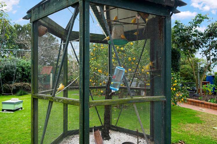 2/18a Clayburn Road Glen Eden_8