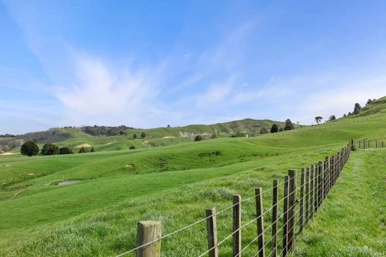 895 Wairamarama Onewhero Road Onewhero_20