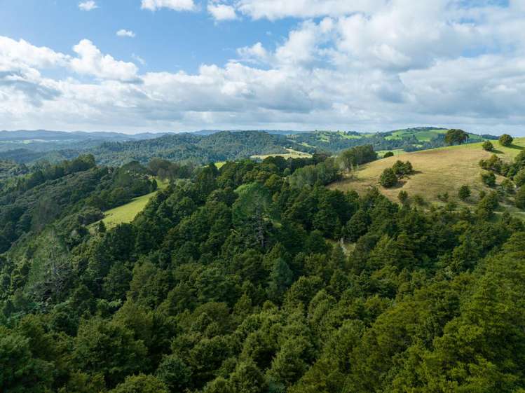 45 Monument Road Kawakawa_13